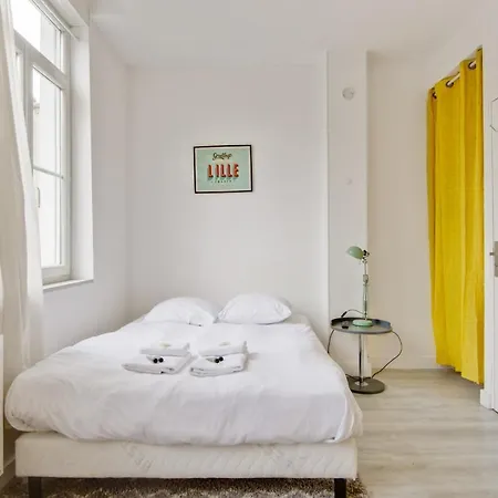 And Calm Studio In Lille-europe Nearby The Old - Welkeys